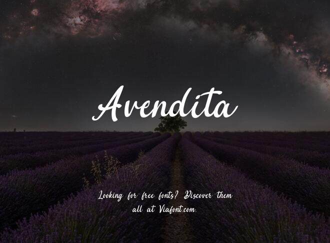 Avendita Font