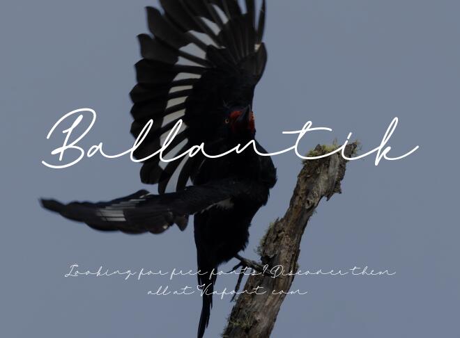 Ballantik Font