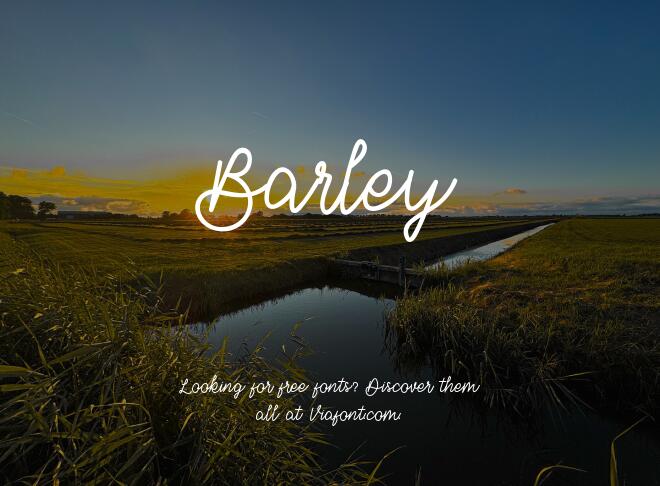 Barley Font