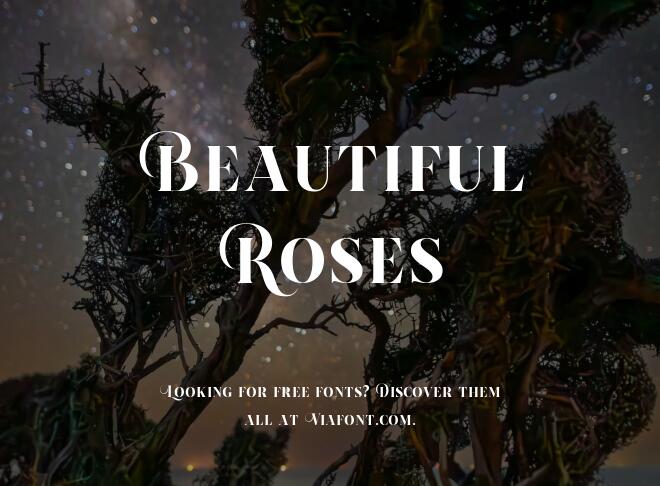 Beautiful Roses Font