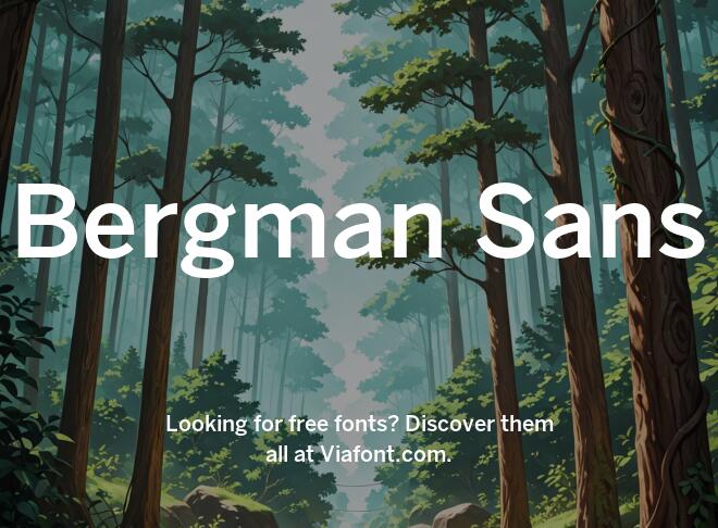 Bergman Sans Font