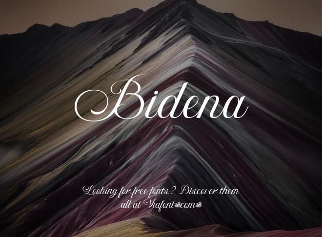 Bidena Font