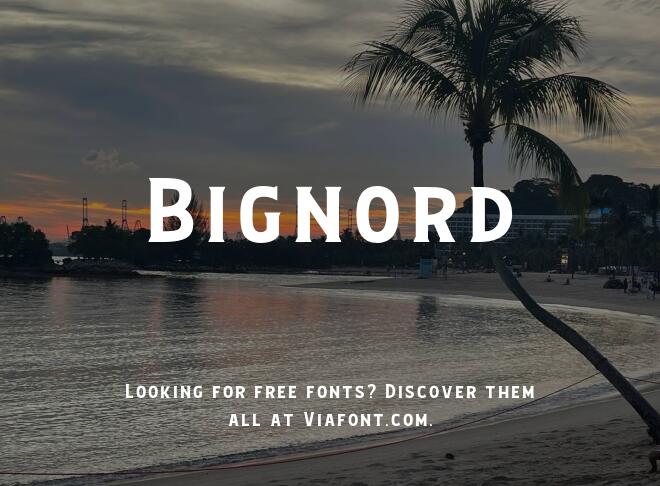 Bignord Font