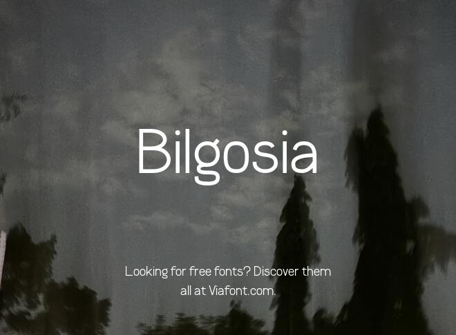 Bilgosia Font
