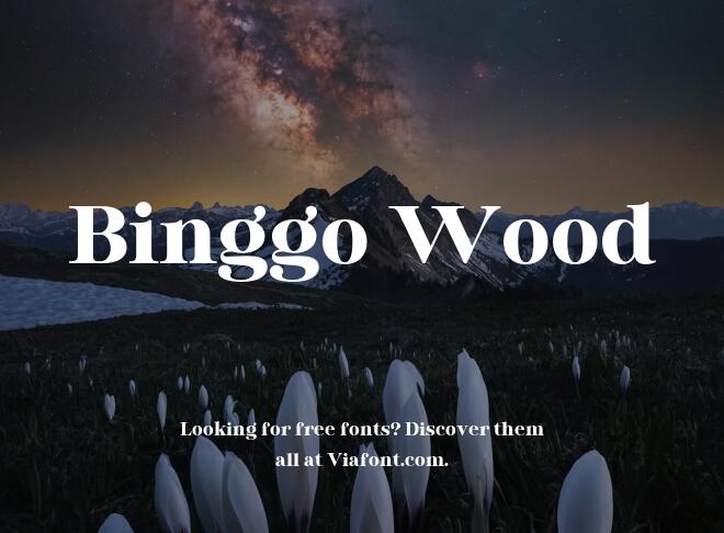 Binggo Wood Font