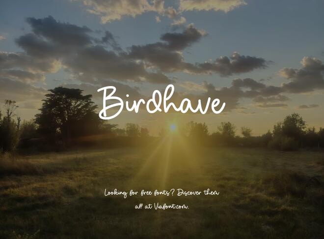 Birdhave Font