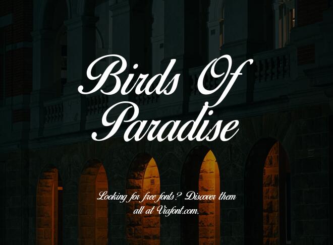 Birds Of Paradise Font