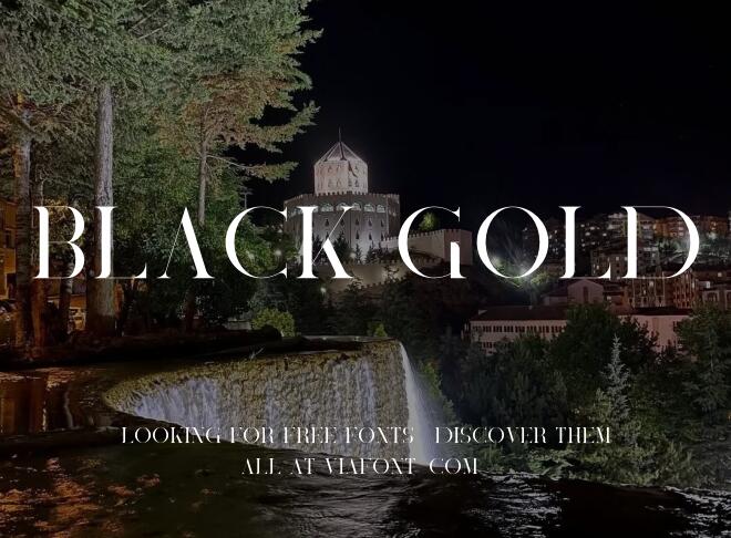 Black Gold Font
