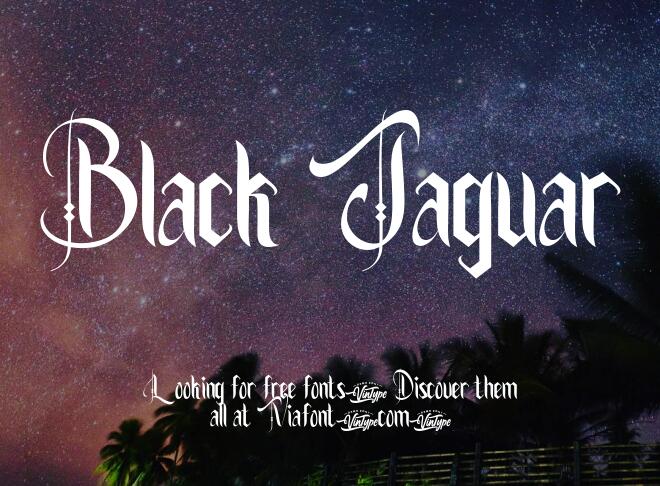 Black Jaguar Font