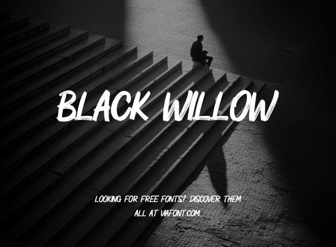 Black Willow Font