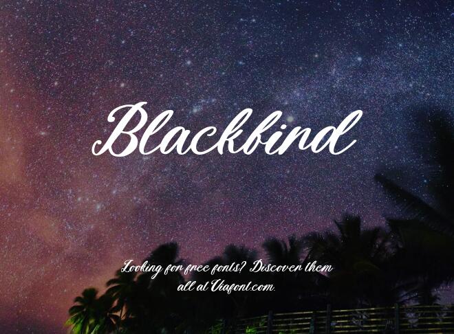 Blackbird Font