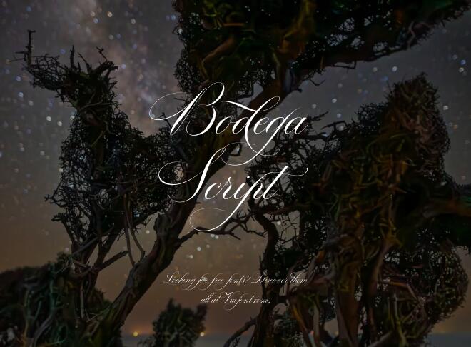 Bodega Script Font