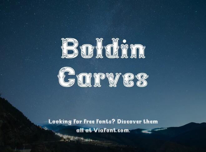 Boldin Carves Font