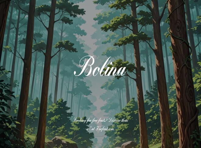 Bolina Font