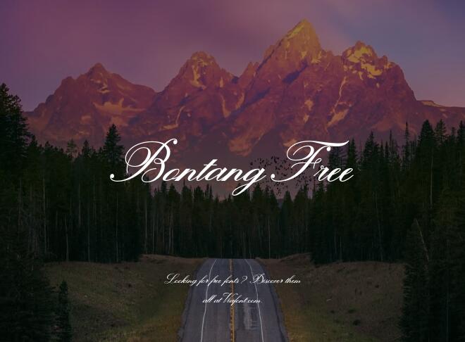 Bontang Free Font