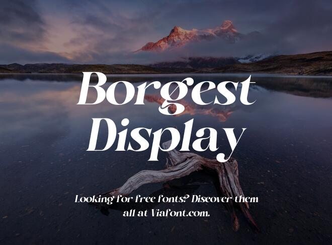Borgest Display Font