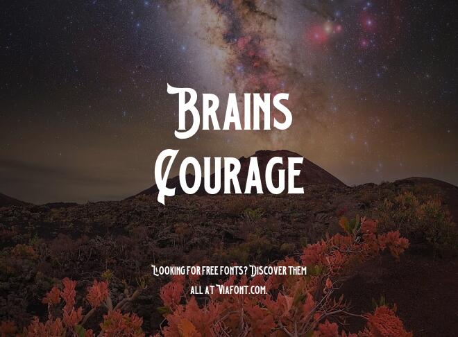 Brains Courage Font