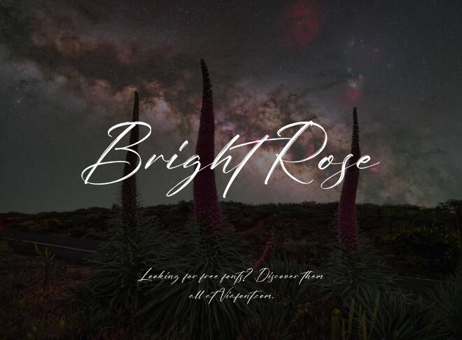 Bright Rose Font