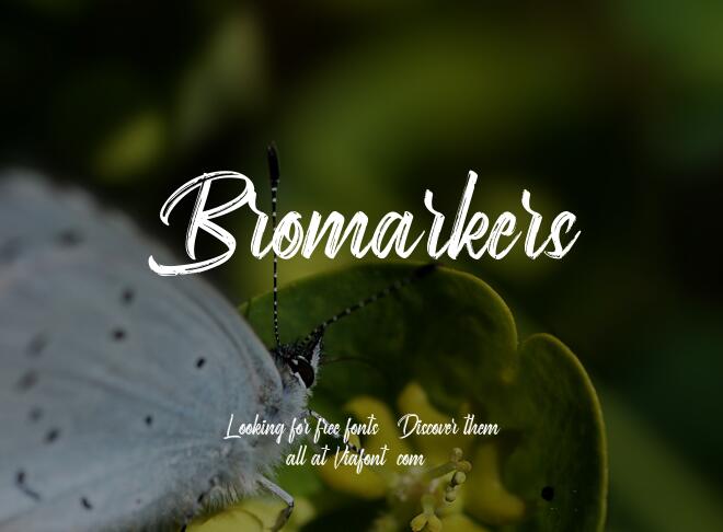 Bromarkers Font