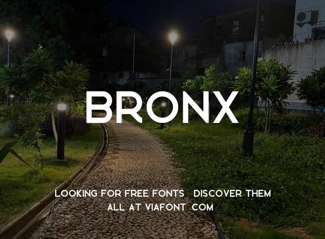 Bronx Font