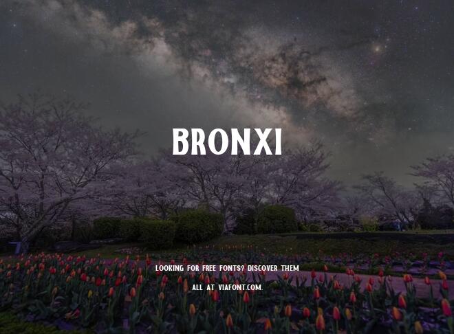 Bronxi Font