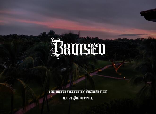 Bruised Font