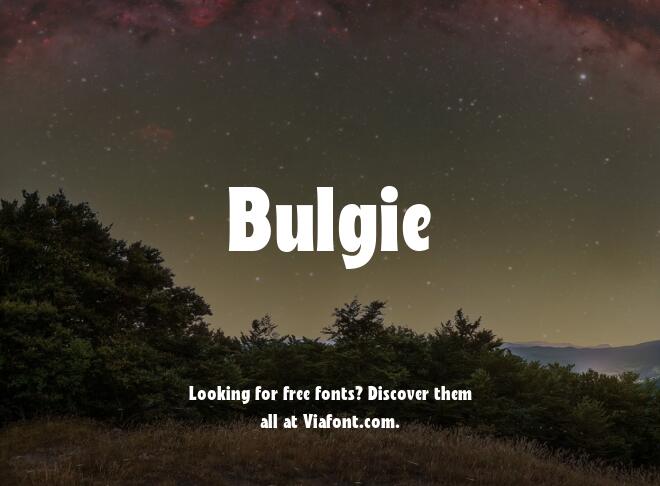 Bulgie Font