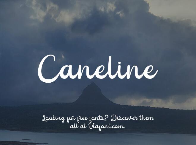 Caneline Font