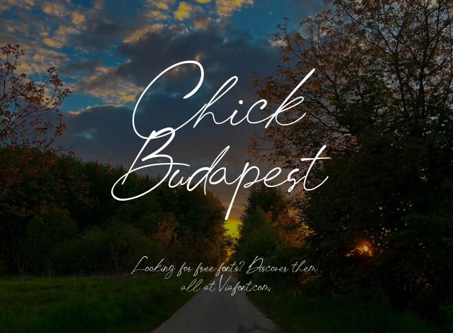 Chick Budapest Font