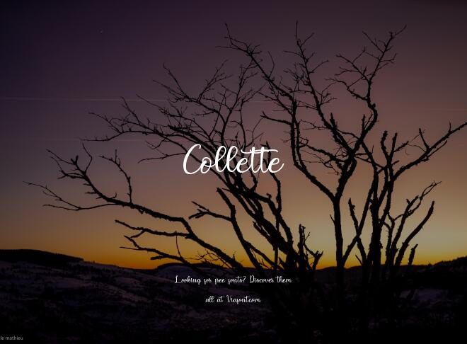 Collette Font