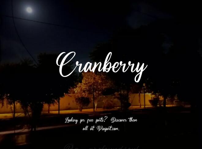 Cranberry Font
