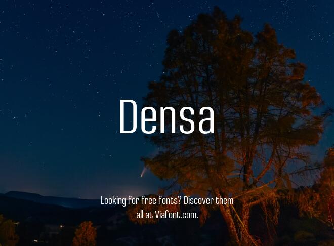 Densa Font
