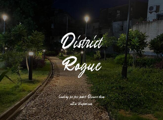District Rogue Font