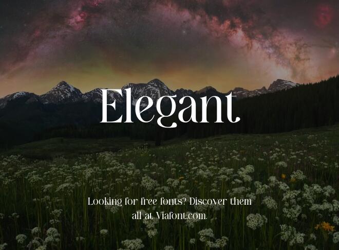 Elegant Font