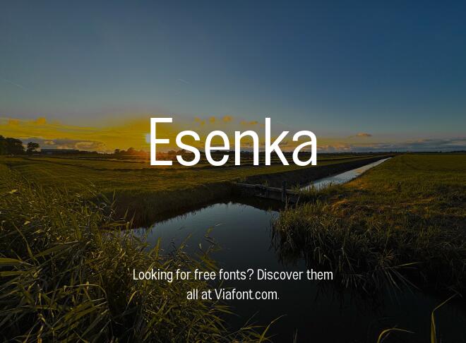 Esenka Font