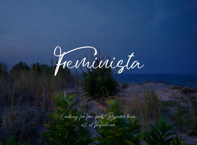 Feminista Font