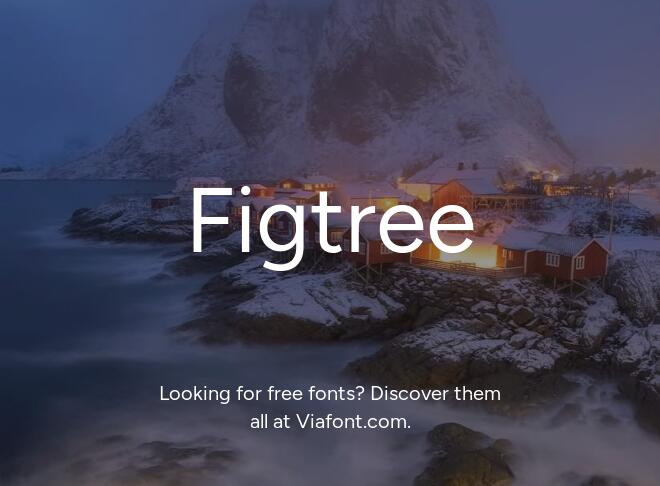 Figtree Font
