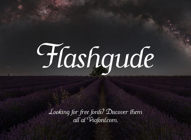 Flashgude Font