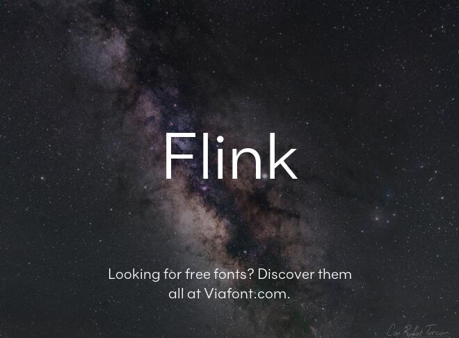 Flink Font
