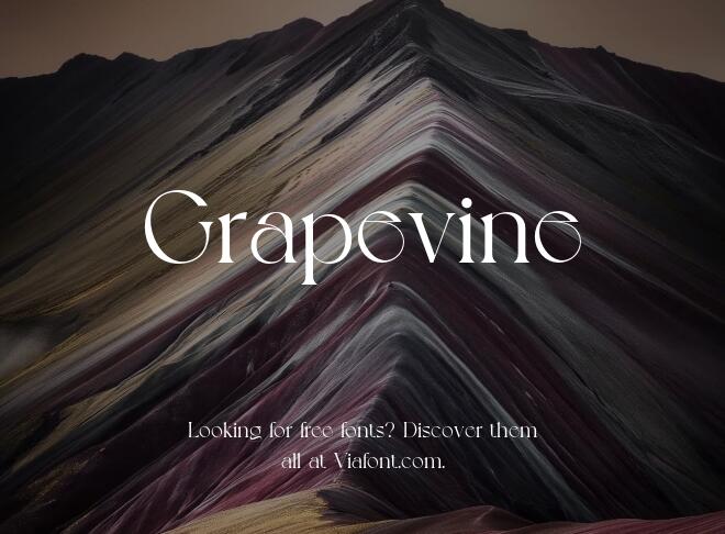 Grapevine Font