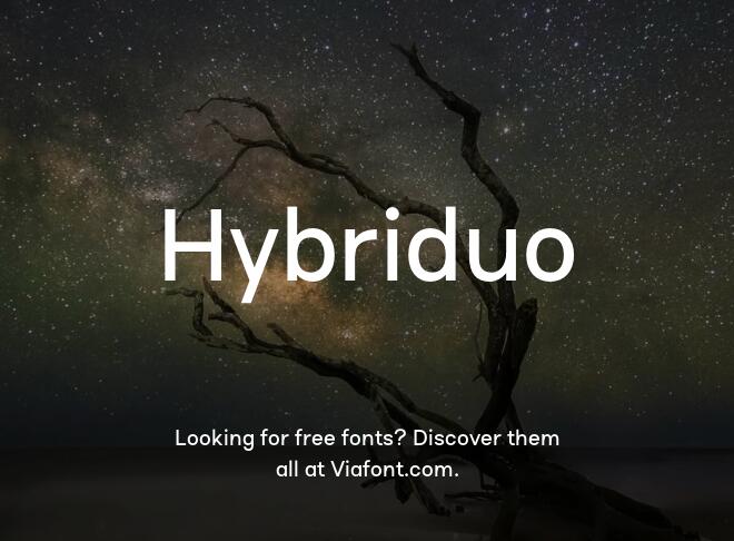 Hybriduo Font