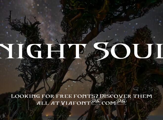 Knight Souls Font