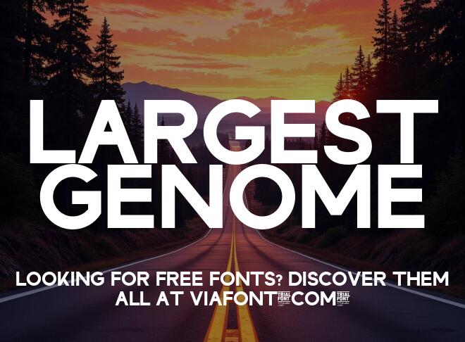 Largest Genome Font