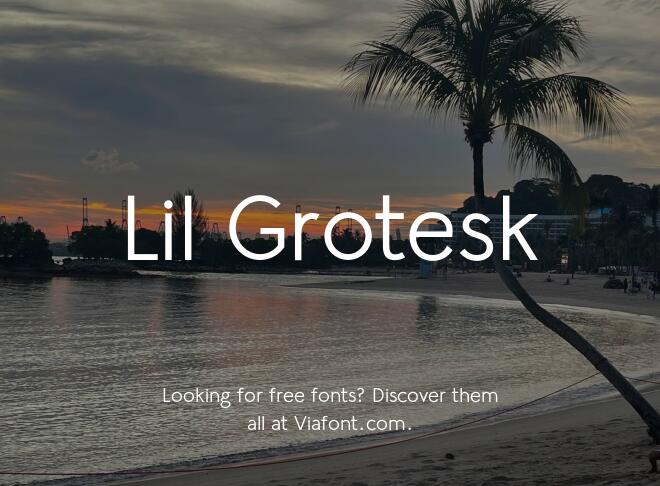 Lil Grotesk Font