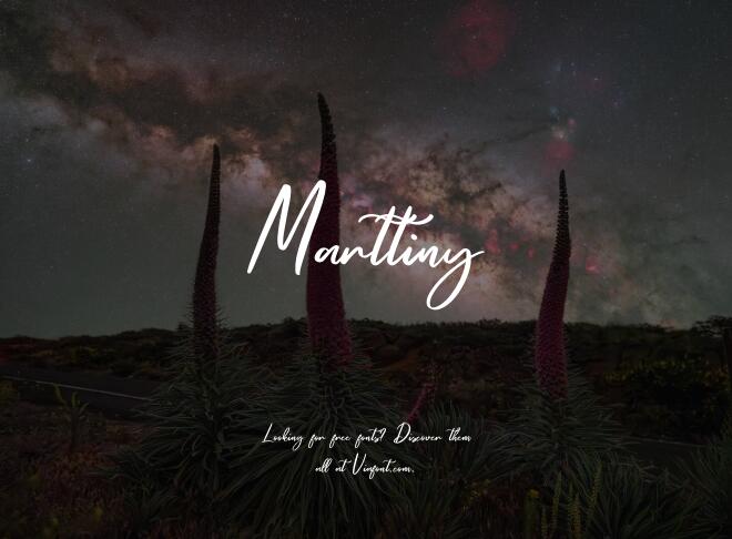 Marttiny Font