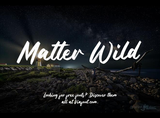Matter Wild Font