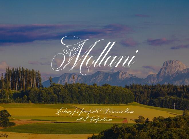 Mollani Font
