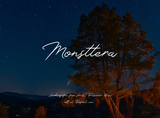 Monsttera Font