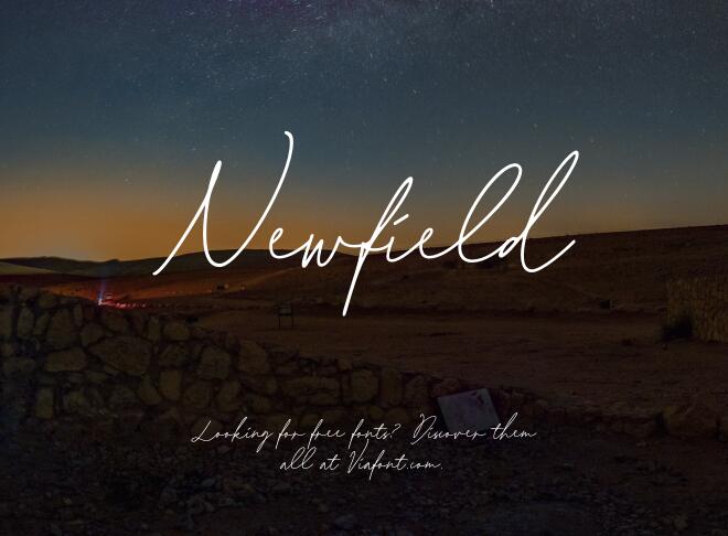 Newfield Font