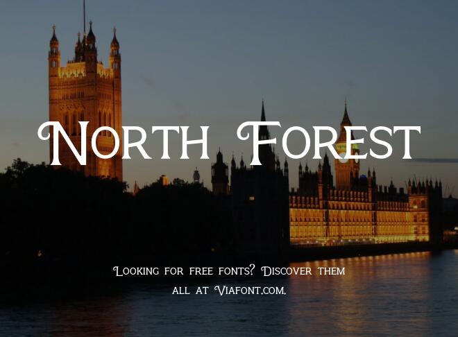 North Forest Font